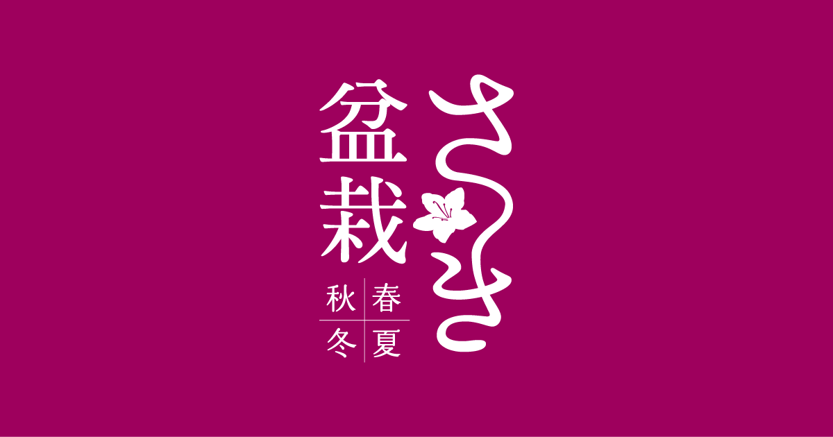 季刊発行・さつき盆栽専門誌【さつき盆栽 春夏秋冬】