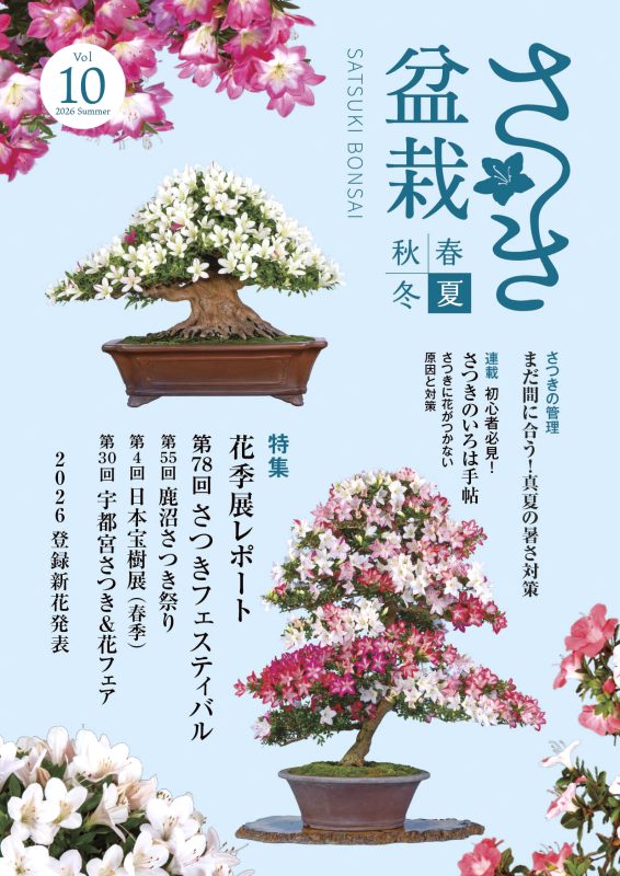 表1表2